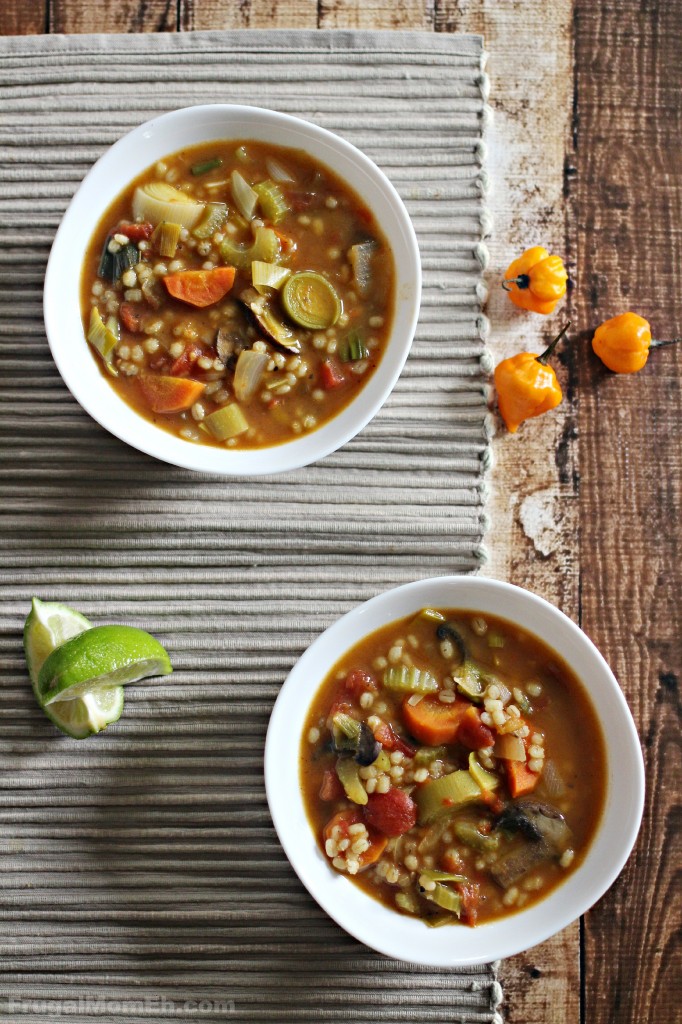 There is nothing better than a steaming hot bowl of homemade spicy barley and vegetable soup on a cold winter day. This is a favourite family recipe.