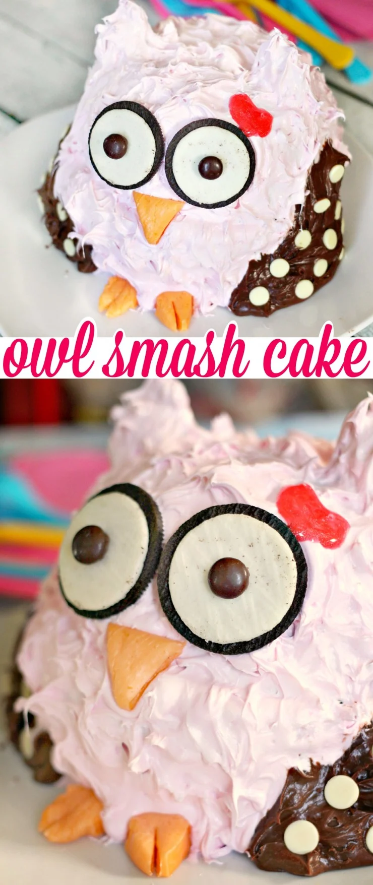 This Owl Smash Cake is an adorable first birthday cake perfect for an owl themed 1st birthday party or a cake smash photography session!