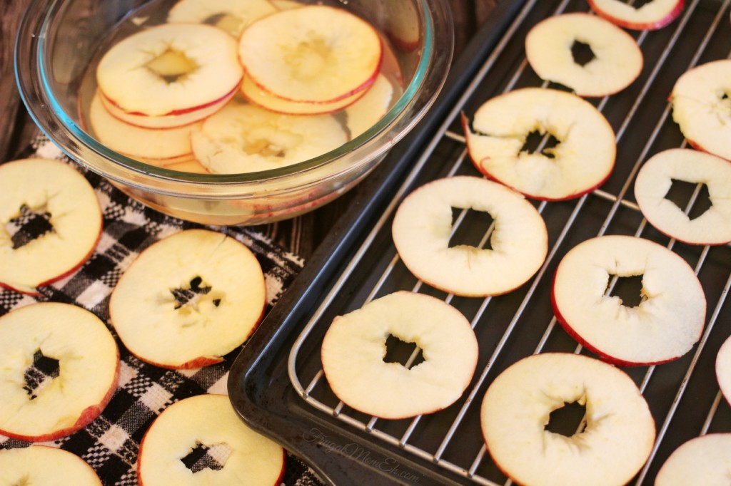 Oven-Dried Cinnamon Apple Rings