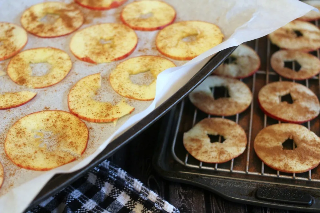 Oven-Dried Cinnamon Apple Rings