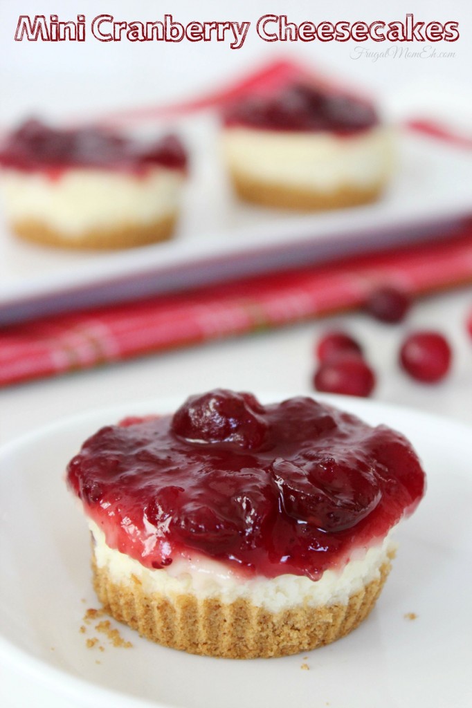 Mini Cranberry Cheesecakes are a great dessert to serve at Thanksgiving or Christmas and you won't believe how easy this recipe is!