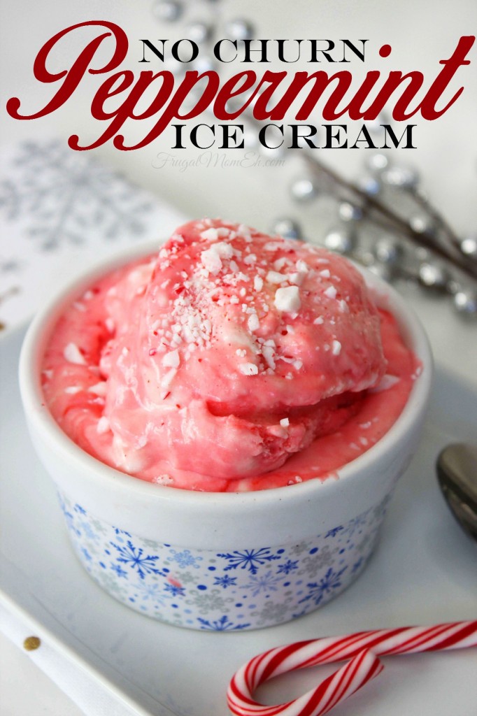 No Churn Peppermint Ice Cream in a fun treat for those who don't mind the cold during the Christmas Season!