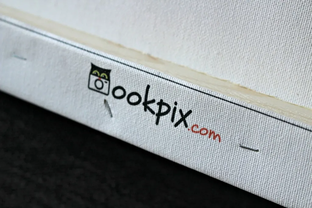Turn Your Favourite Moments into Art with ookpix