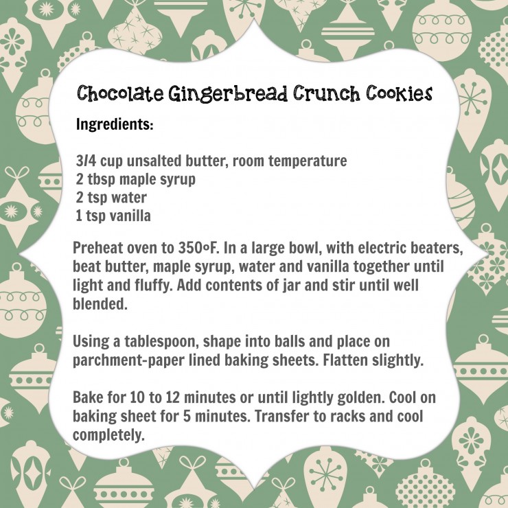 Chocolate Gingerbread Crunch Mason Jar Cookie Mix from Nature's Path # ...