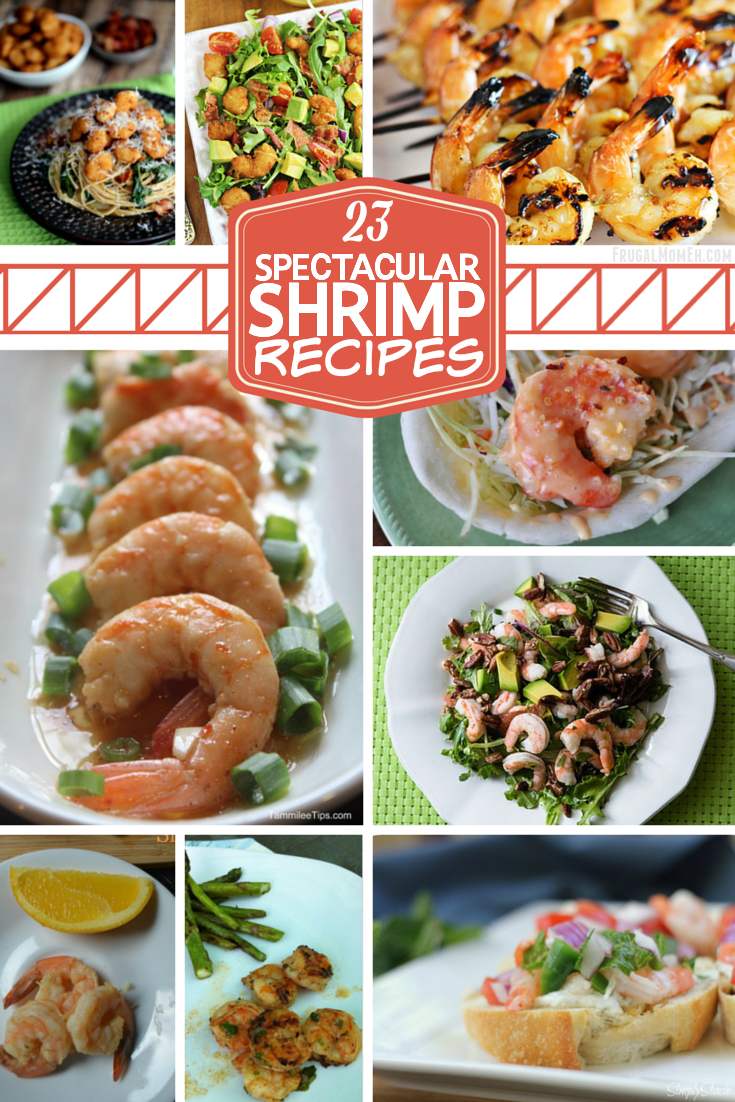 These 23 Spectacular Shrimp Recipes will get you inspired to try something new! From appetizers to main dishes, these shrimp recpies truly are delicious!