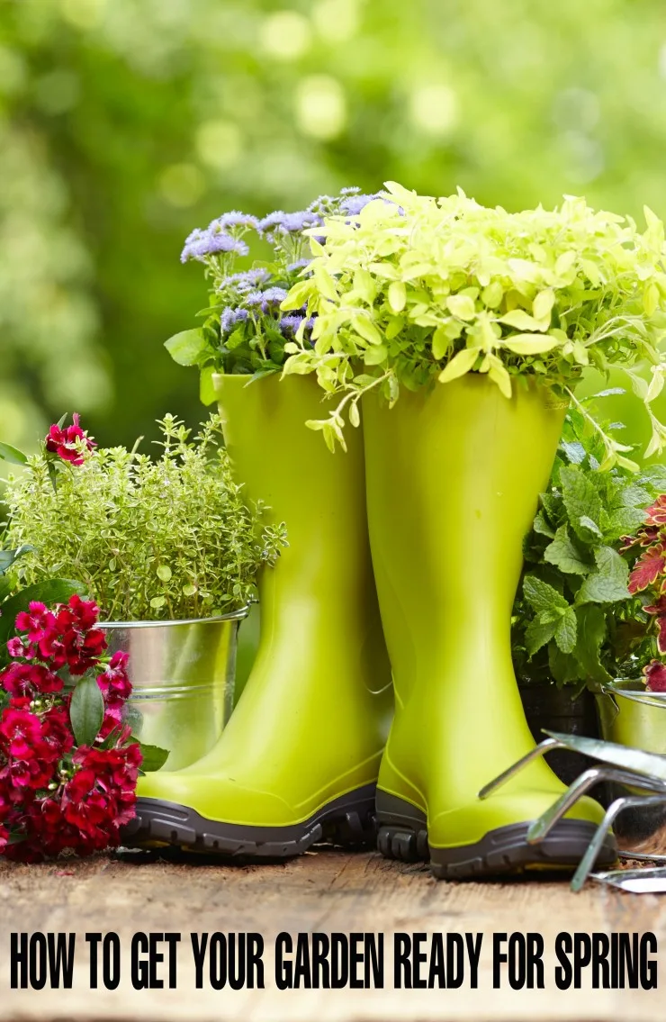 How to Get Your Garden Ready for Spring with these quick gardening tips to get your garden ready for spring.