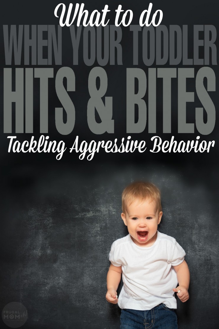What to do When Your Toddler Hits & Bites: Tackling Aggressive Behavior