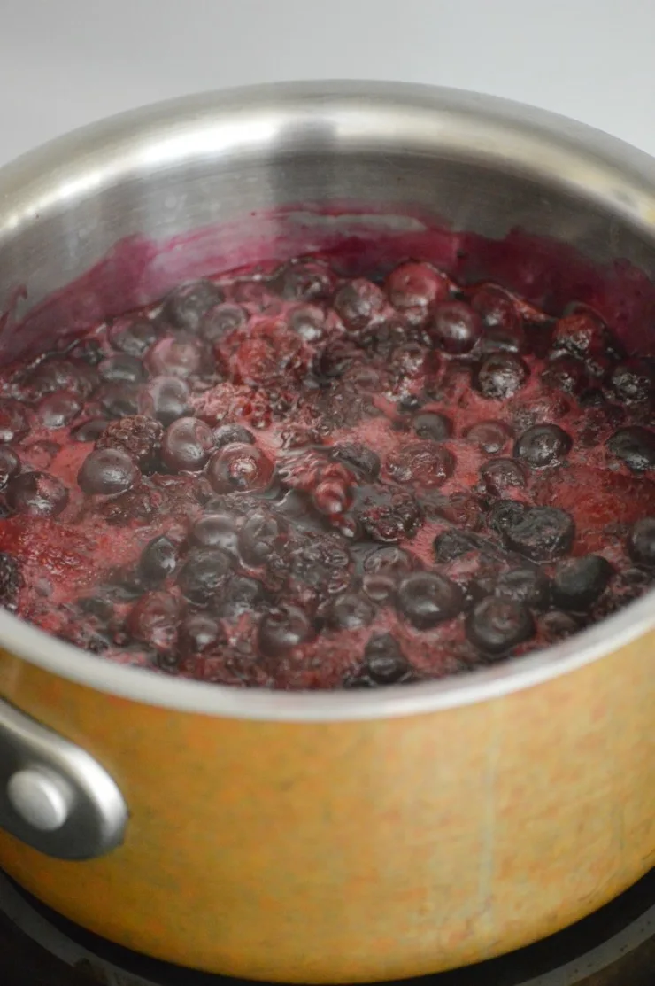 This Blueberry Compote recipe is perfect served over pancakes, ice cream, yogourt, pound cake, cheesecake.... the options are as endless as they are delicious!