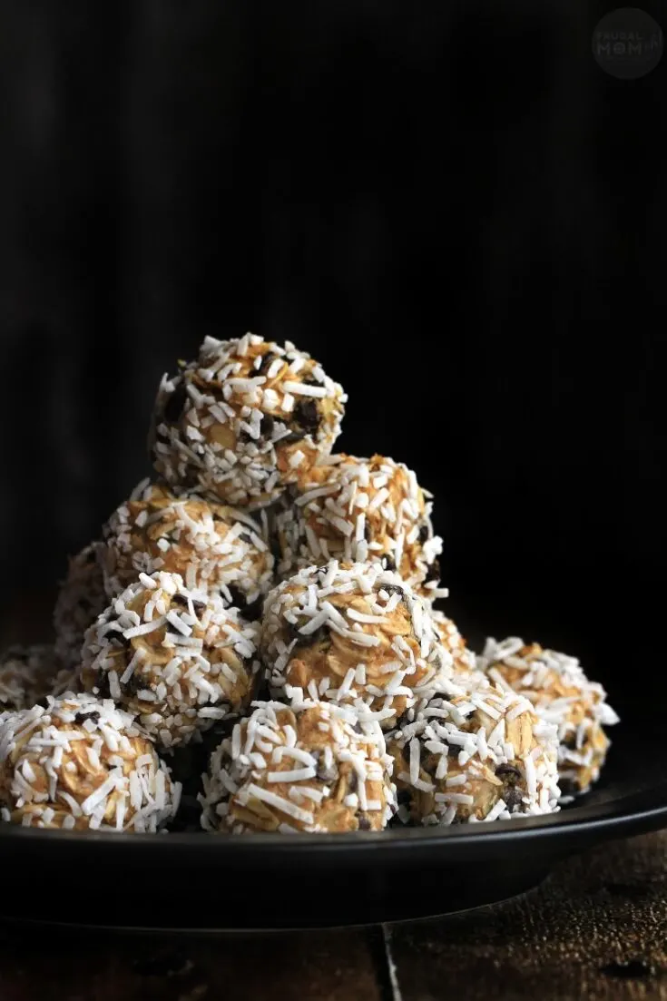 Coconut Covered Chia & Chocolate Chip Peanut Butter Snack Bites