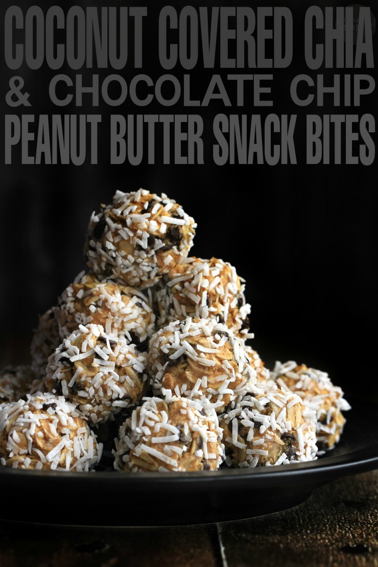 Coconut Covered Chia & Chocolate Chip Peanut Butter Snack Bites are a perfect no-bake energy bite recipe for the whole family!