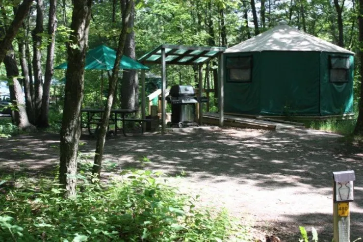Pinery-Yurt-Campsite