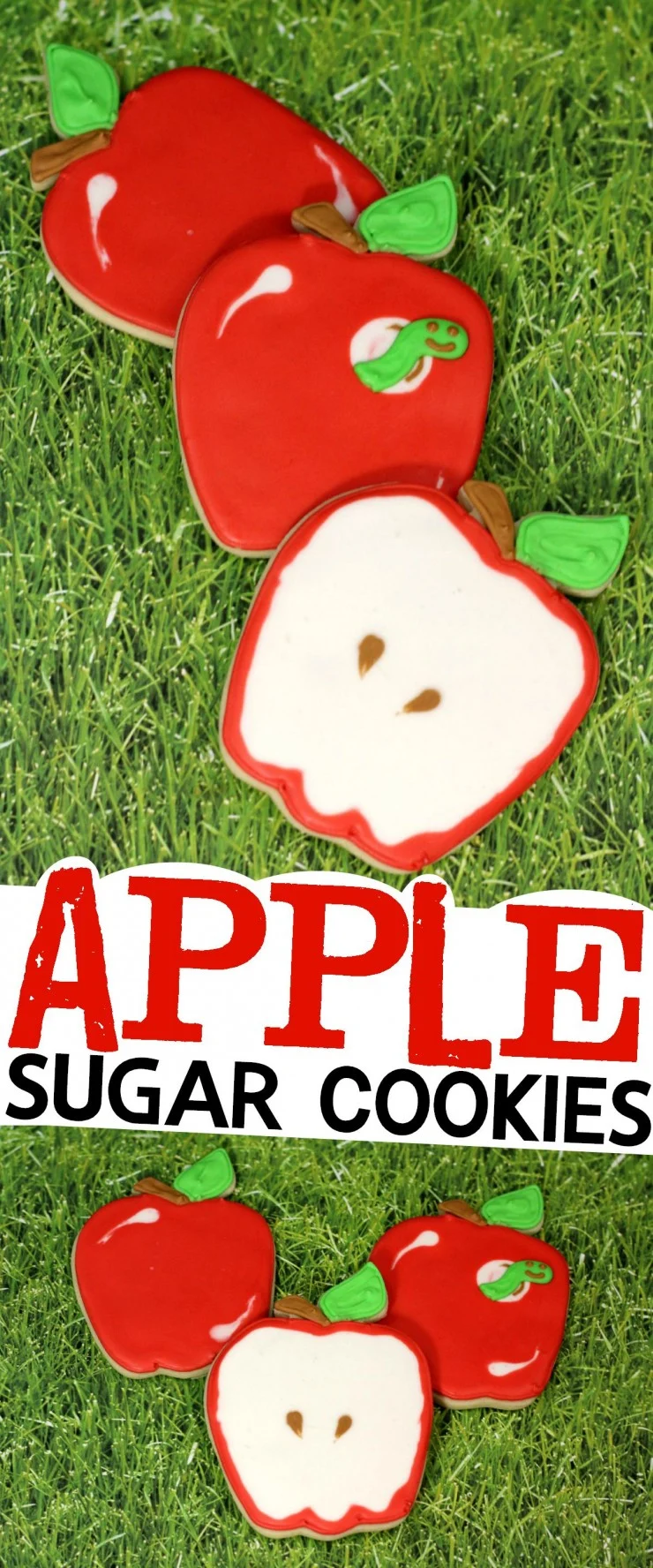 How to decorate these adorable Apple Sugar Cookies + recipe for cookies and icing!