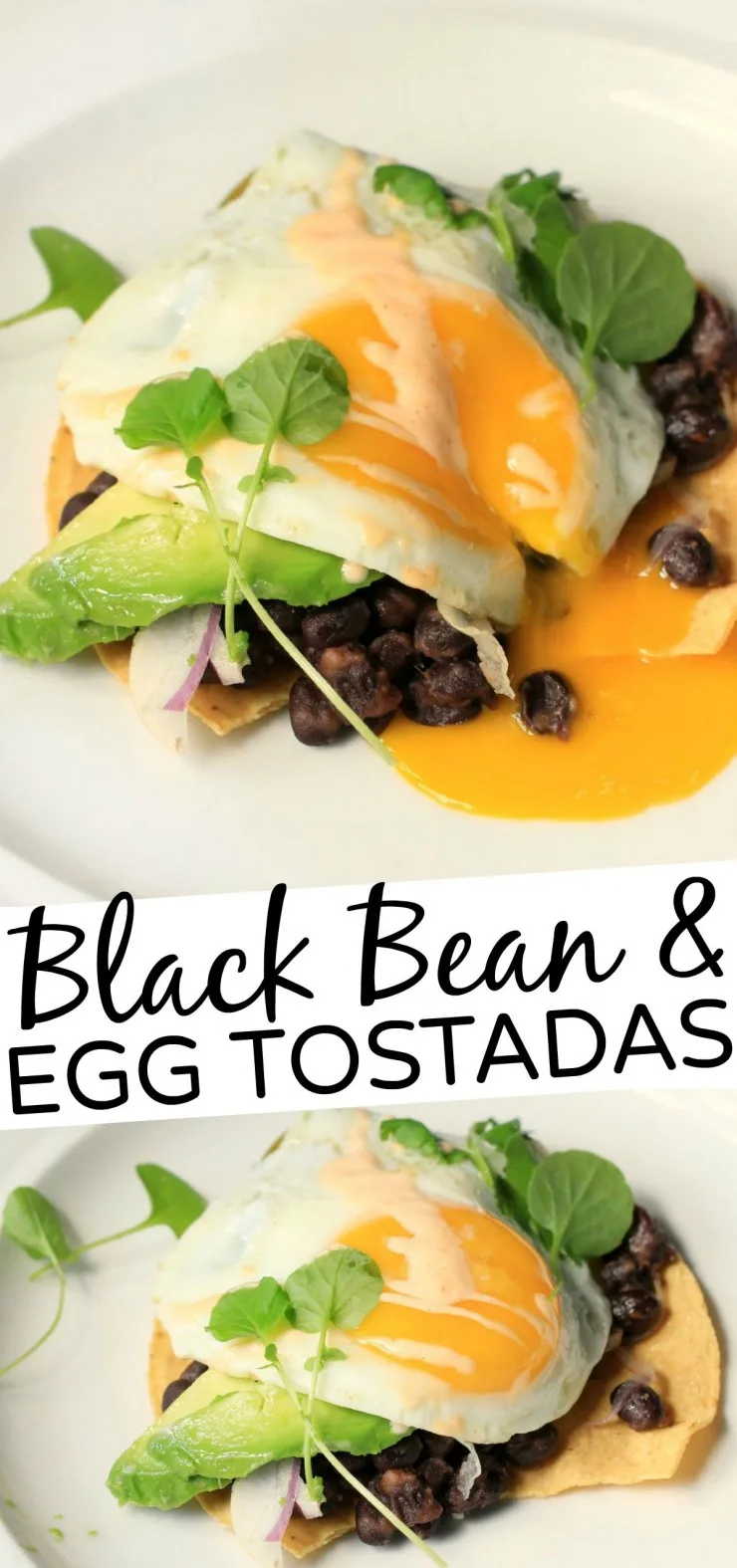 Black Bean and Egg Tostadas