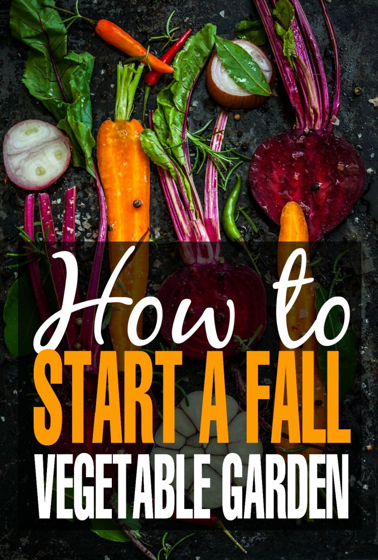 Check out these gardening tips to get your Fall vegetable garden started in time for the autumn. 
