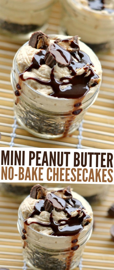 Individual Peanut Butter No-Bake Cheesecakes - Frugal Mom Eh!