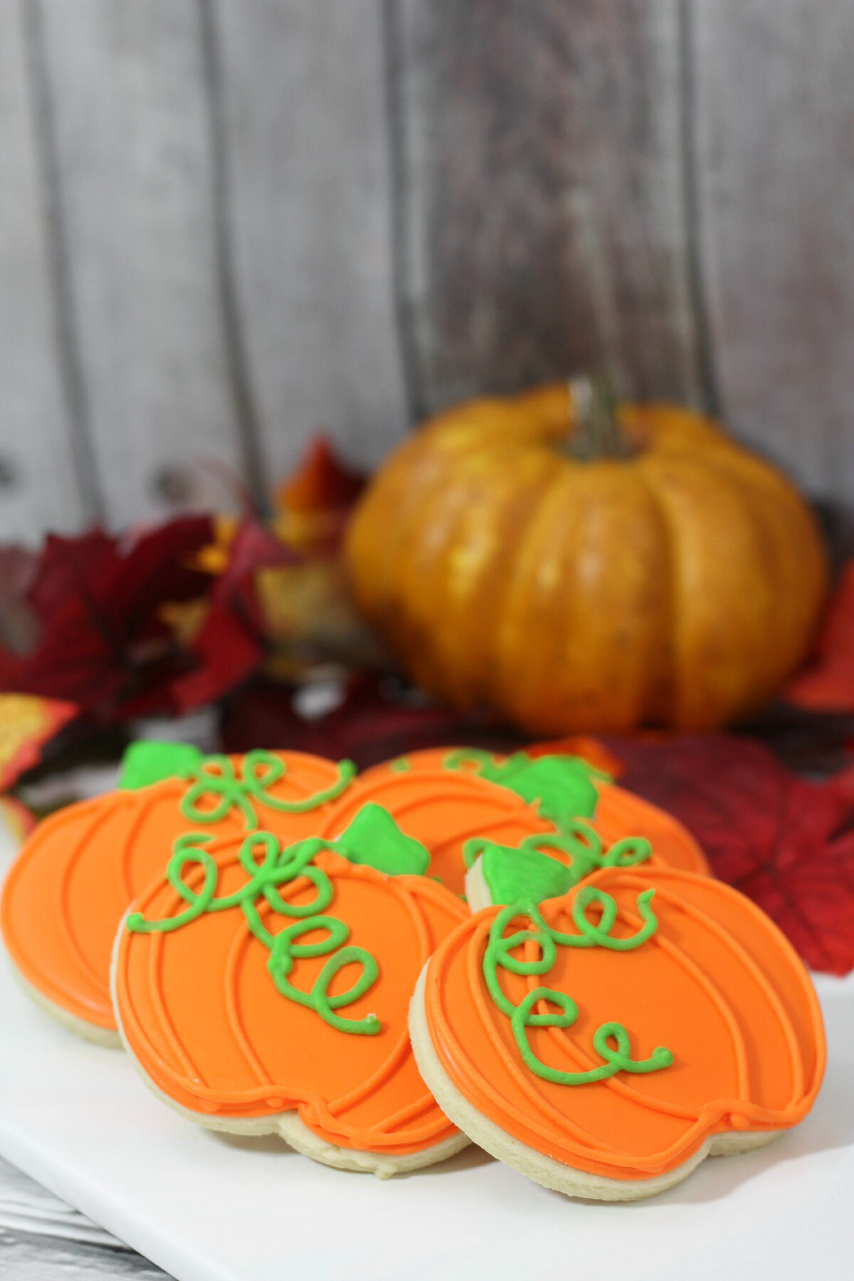 These pumpkin sugar cookies are perfect for fall, with a buttery cut-out cookie base and colourful royal icing for decorating.