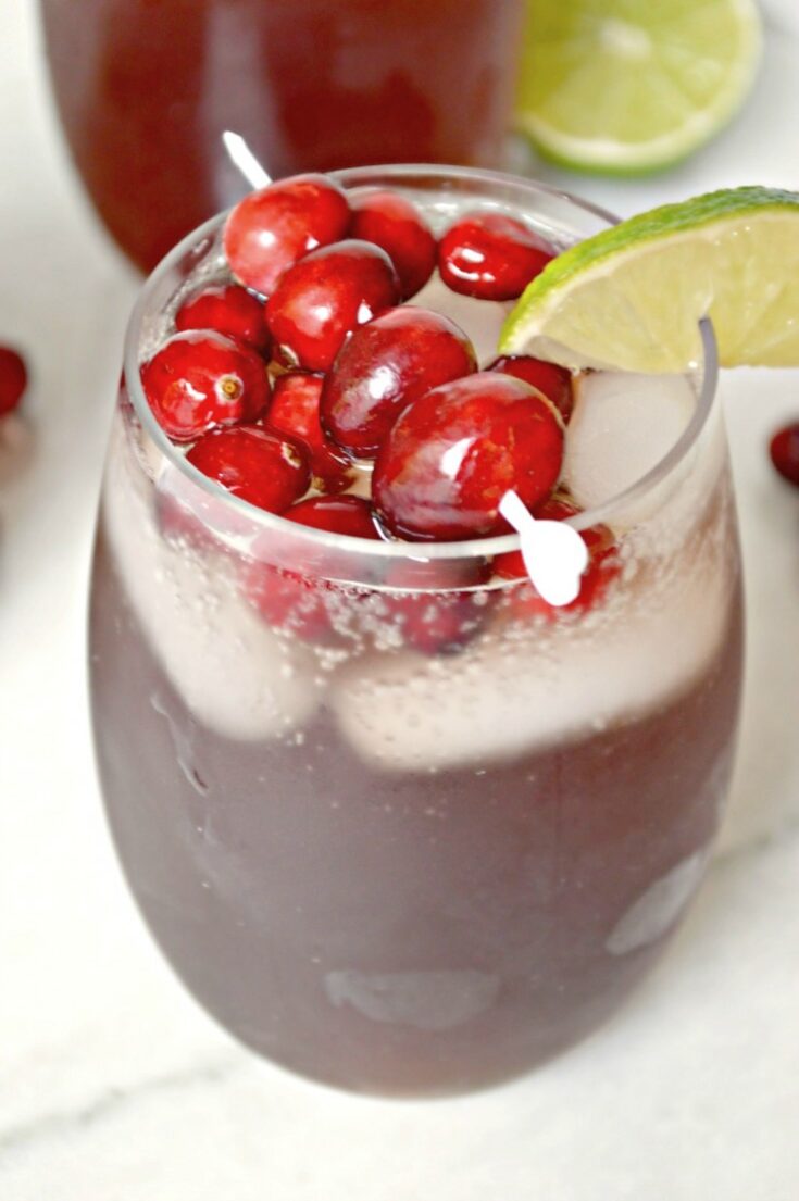 Non-Alcoholic Cranberry Spritzer