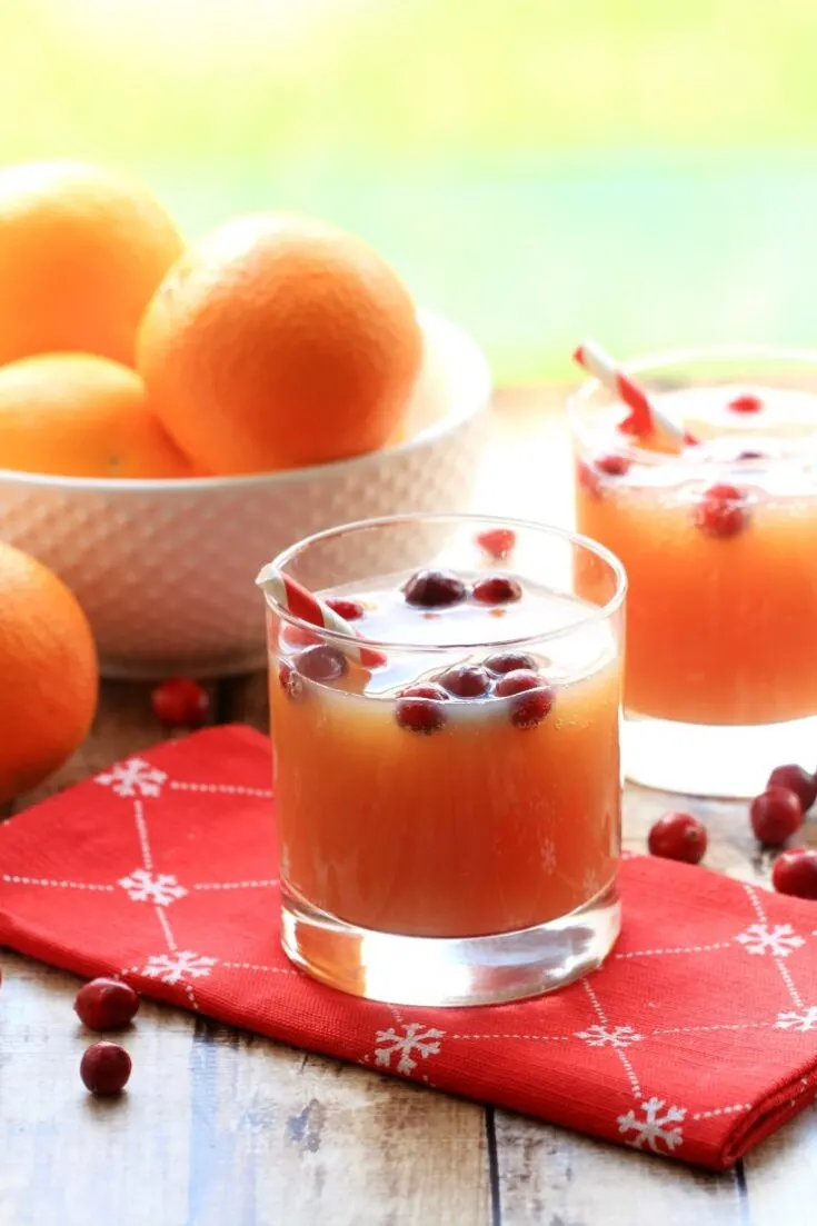Non-Alcoholic Cranberry Orange Spritzer