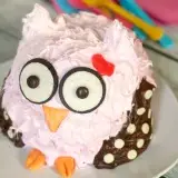 Owl Smash Cake