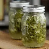 pickled-jalapeno-peppers