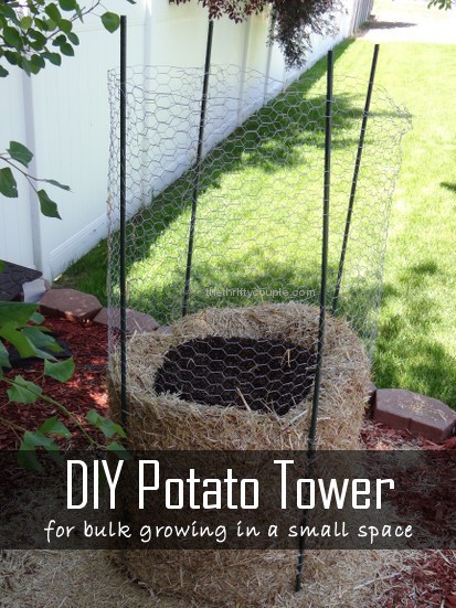 diy-potato-tower-for-bulk-growing-in-a-small-space