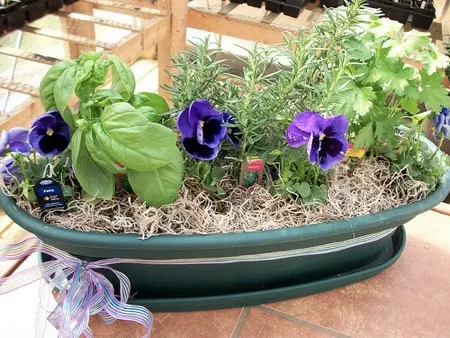growing-your-own-indoor-herb-garden