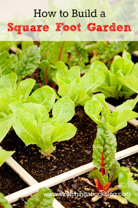 how-to-build-a-square-foot-garden