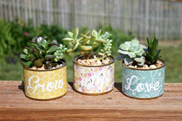 upcycle-cans-planters