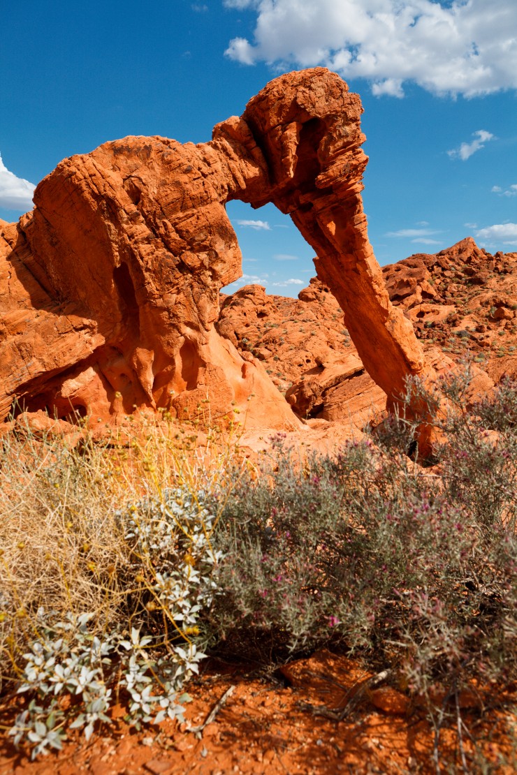 Elephant Rock in the Valley of Fire, Nevada - Nevada is filled with things to do and see from the iconic Hoover Dam to the famous Las Vegas Strip. Here are 7 of the best attractions in Nevada.