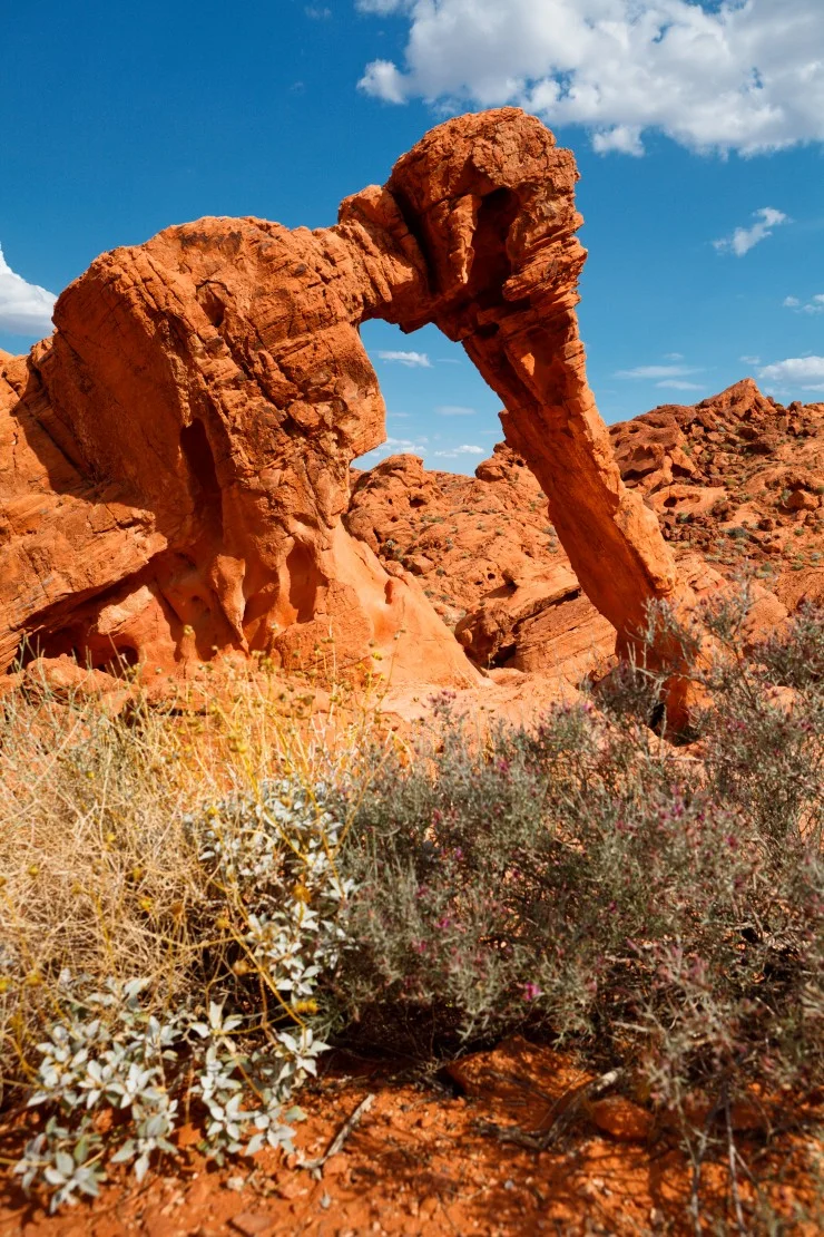 Elephant Rock in the Valley of Fire, Nevada - Nevada is filled with things to do and see from the iconic Hoover Dam to the famous Las Vegas Strip. Here are 7 of the best attractions in Nevada.