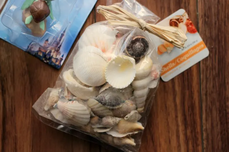 Materials-seashells
