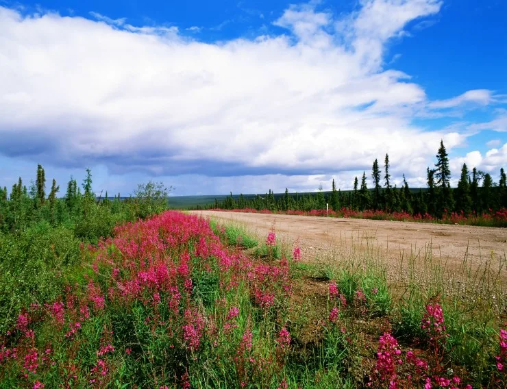 The Dempster Highway, Yukon and Northwest Territories.