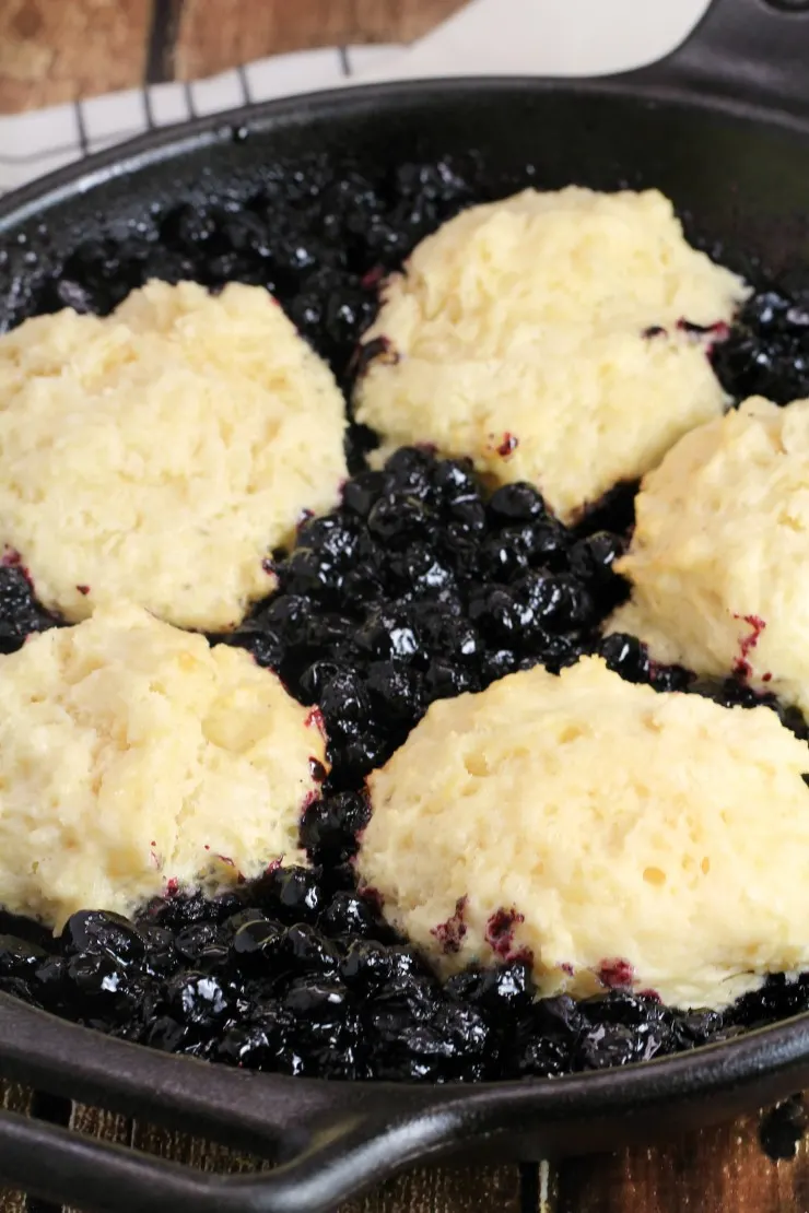  A Blueberry Grunt is a cobbler that is cooked on the stove top or over a campfire instead of in the oven. The drop biscuits steam to perfection in a bed of blueberries. This is a camping recipe that will really have you looking forward to dessert!