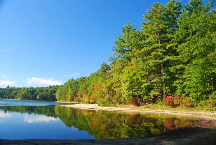 The Walden Pond near Concord, MA