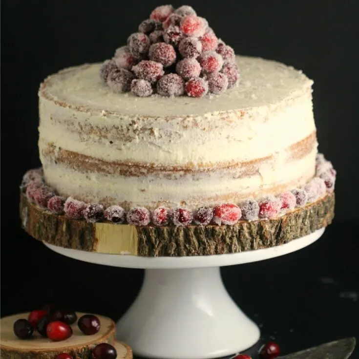Cranberry White Chocolate Cake with Frosted Cranberries