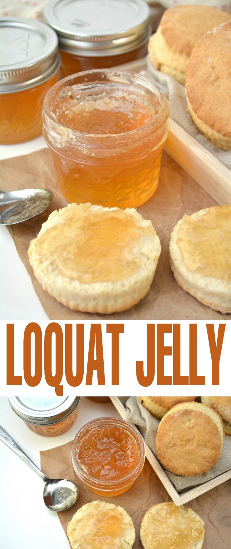 This homemade loquat jelly is a delicious addition to your pantry. With only a water bath canner needed, anyone can easily create this scrumptious jelly. 
