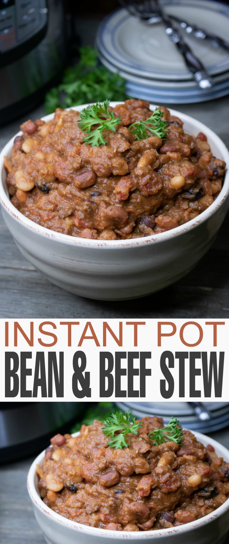 Delicious, healthy, easy and packed full of protein, this Instant Pot recipe for Bean Stew with Beef is sure to be a hit with your family.