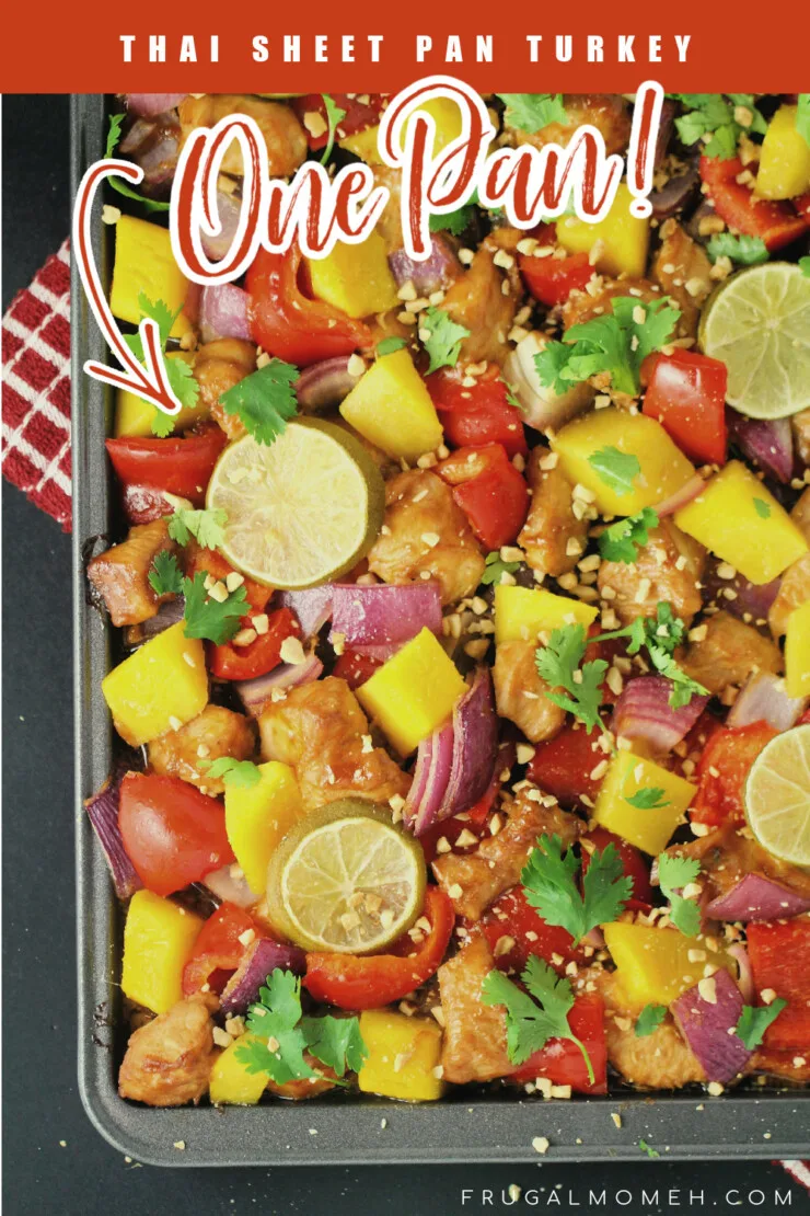 This sheet pan Thai turkey recipe can be made in the time it takes to boil a pot of rice and tastes just like take-out. This sheet pan meal is sure to be a family diner hit!