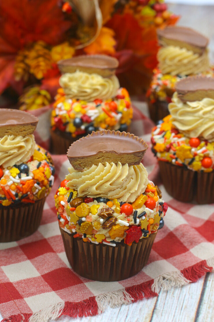 Fall Harvest Chocolate Peanut Butter Cupcakes - Frugal Mom Eh!