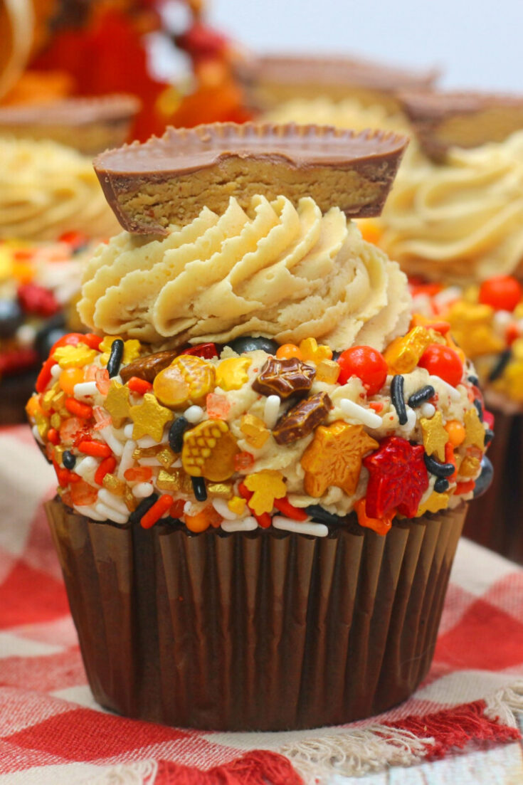 Fall Harvest Chocolate Peanut Butter Cupcakes