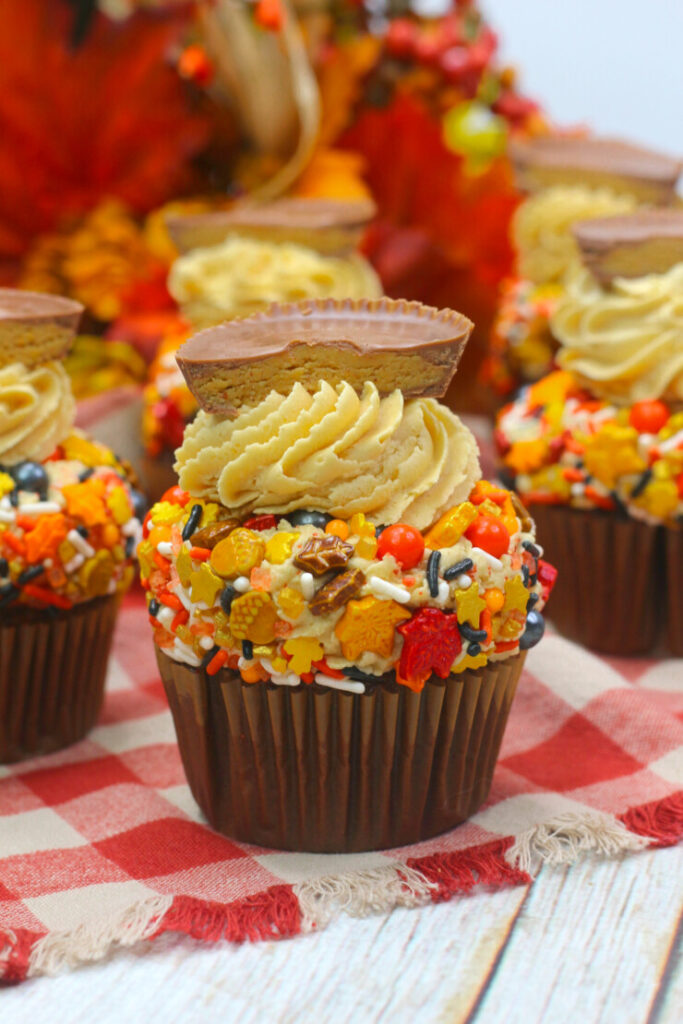 Fall Harvest Chocolate Peanut Butter Cupcakes - Frugal Mom Eh!