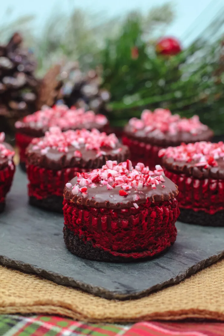 Luscious, thick and creamy mini Red Velvet Cheesecakes smothered in a smooth chocolate ganache and topped with candy cane. Perfect for any holiday party.