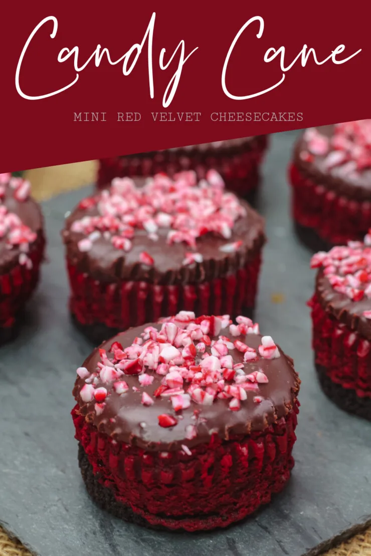Luscious, thick and creamy mini Red Velvet Cheesecakes smothered in a smooth chocolate ganache and topped with candy cane. Perfect for any holiday party.