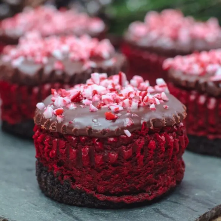 Mini Candy Cane Red Velvet Cheesecakes