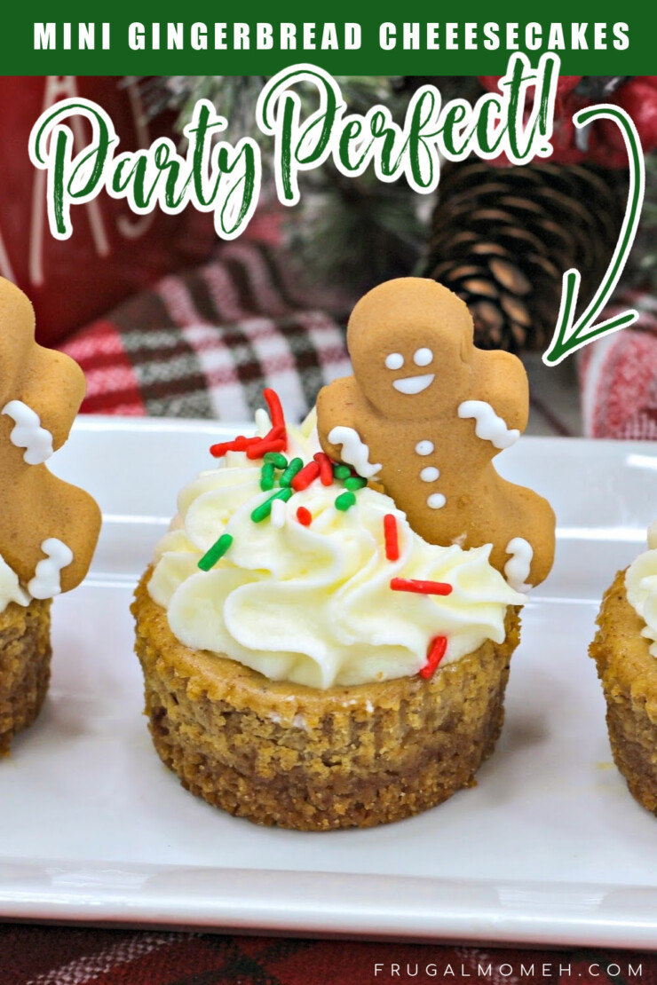 These mini gingerbread cheesecakes are the perfect holiday party dessert. Festive & spiced, they are sure to be a party favourite!