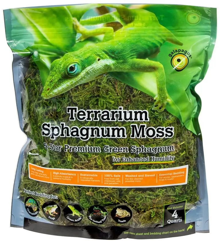 errarium Sphagnum Moss