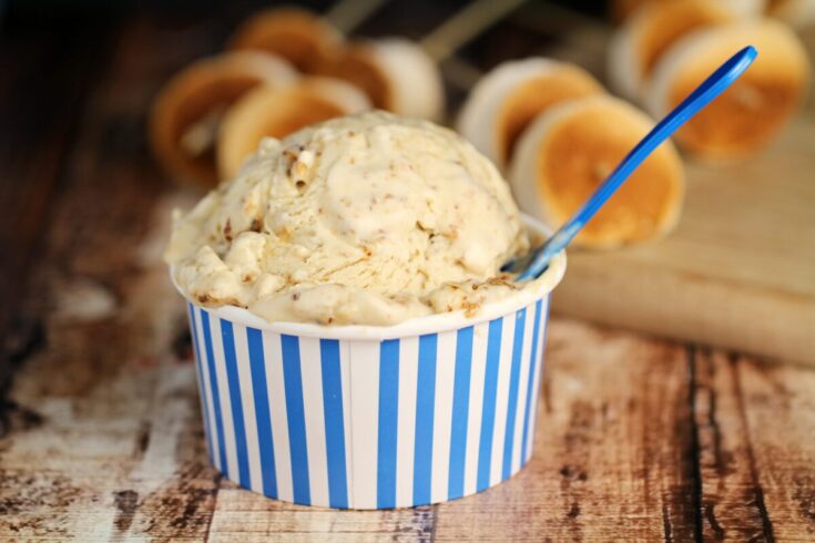 No-Churn Roasted Marshmallow Ice Cream