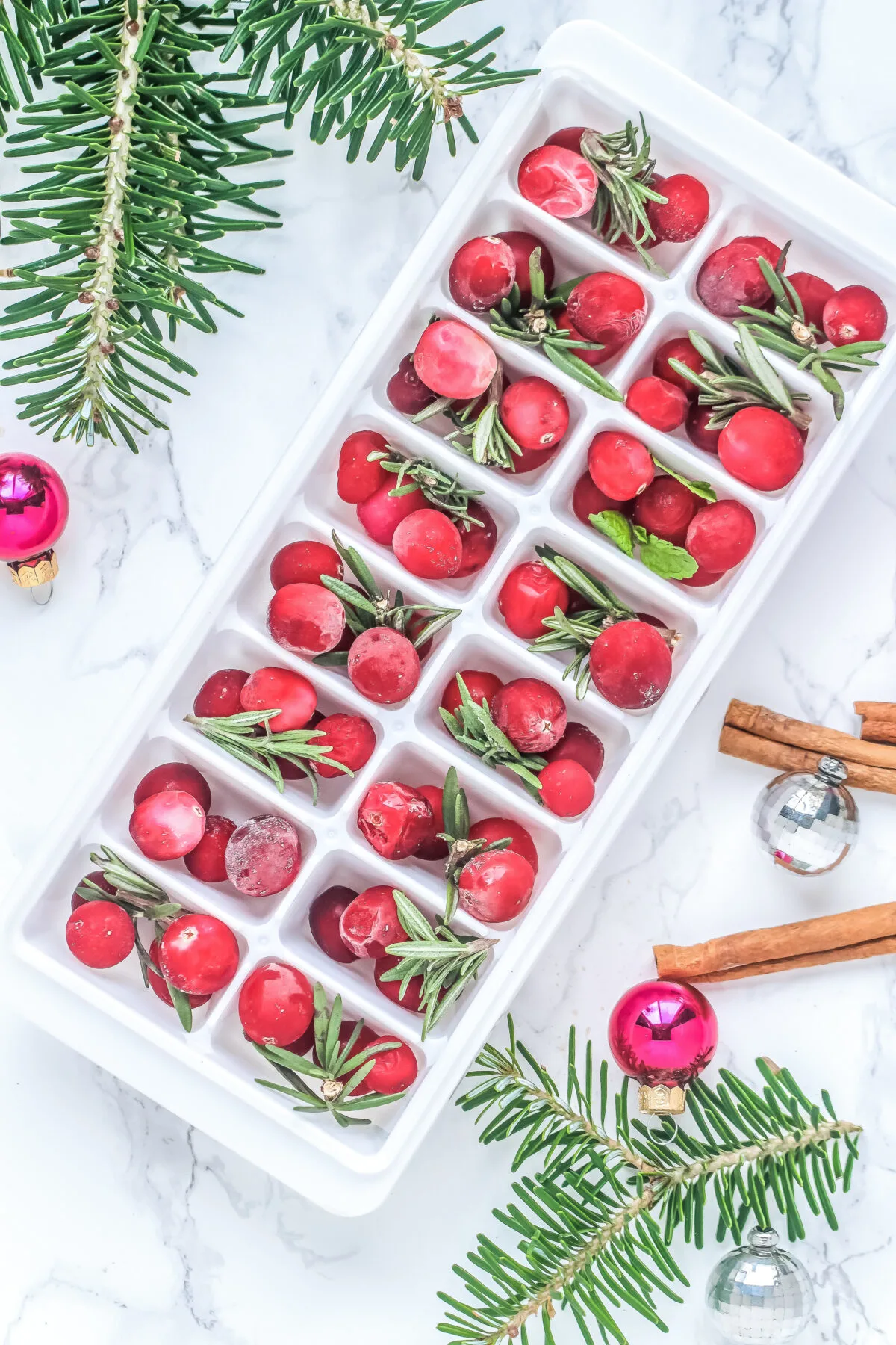 Cranberries and fresh herbs packed inside an ice cube tray.