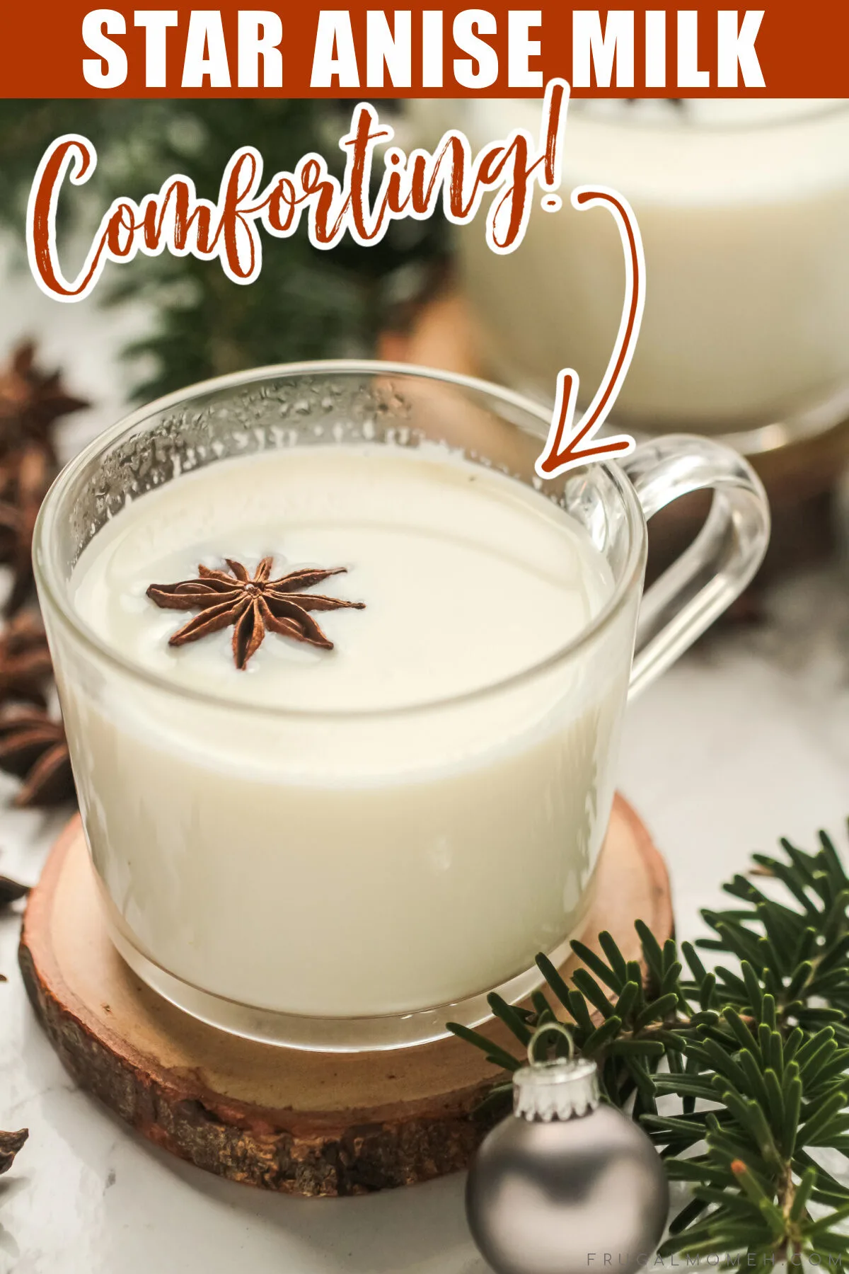 A delicious Star Anise milk recipe perfect for the holidays or any time! This warm, comforting drink is easy to make and has a lovely aroma.