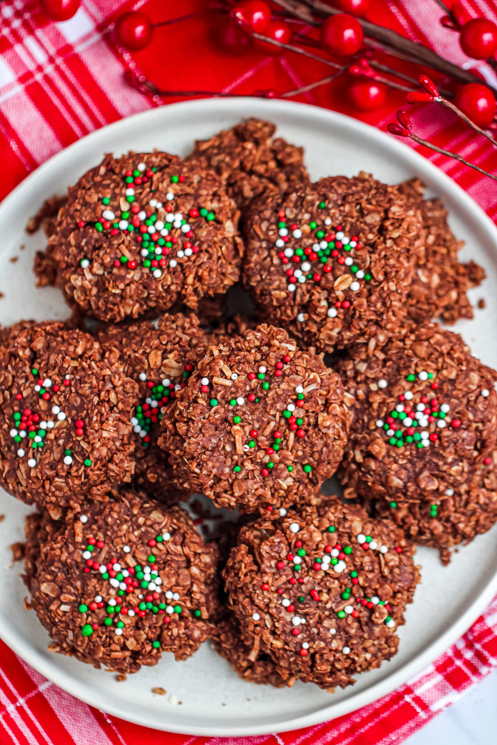 No Bake Chocolate Haystack Cookies Recipe - Frugal Mom Eh!